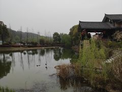 -黄陂区野村谷景区