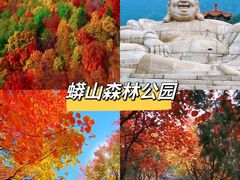 -北京金海湖景区