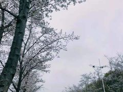 -几荷·恰似故人来(秀水广场店)