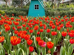 -南宫五洲植物乐园