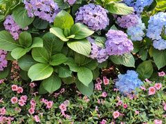 -人民公园(罗湖区)