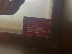 -自贡恐龙博物馆