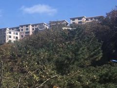 -棒棰岛宾馆景区