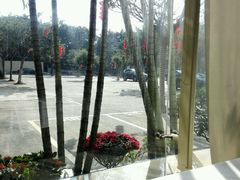 -渔民新村(番禺总店)