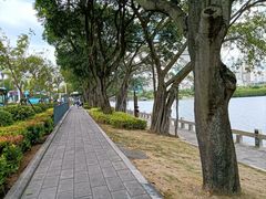 -金砂公园