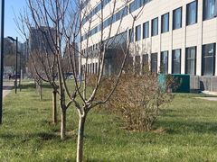 -首都医科大学附属北京天坛医院