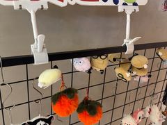 -顺风123(观音桥大融城店)