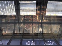 -上海环球金融中心云端足球盛典