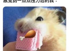 麦麦脆汁鸡琵琶腿-麦当劳(杭州萧山京港国际店)