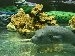 -泉州海丝野生动物世界