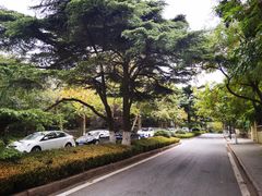 -八大关景区