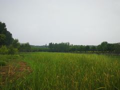 -东郊湿地公园