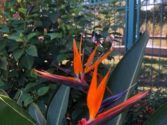 -国家植物园南园