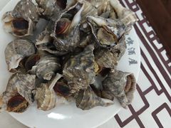 -人和啤酒屋海鲜大排档(营口路店)