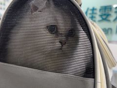 -佳雯宠物医院·皮肤科·内外科(春晓路分院)