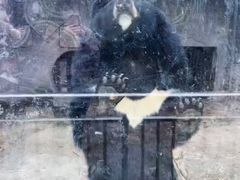 -美心红酒小镇游乐园