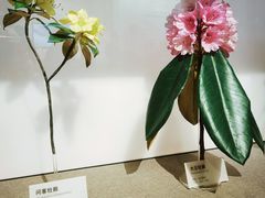 -四川大学博物馆