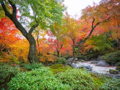-常寂光寺
