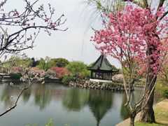 -无锡蠡湖国家湿地公园-蠡园