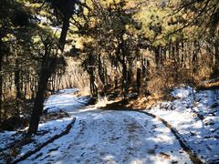 -沈阳辉山风景区