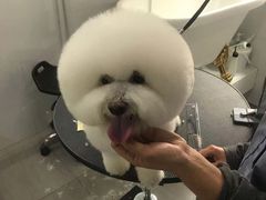 -宠物家(角门东店)