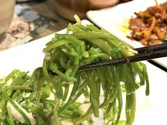 -马帮菜馆·美味野生菌
