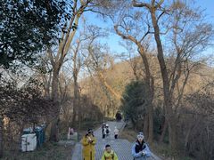 -紫金山天文台