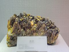 -湖南省地质博物馆