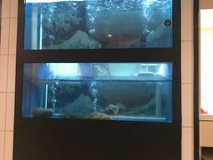 -仙生生寿司专门店(七一街店)
