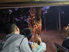 -清迈夜间动物园