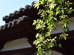 -西安青龙寺遗址景区