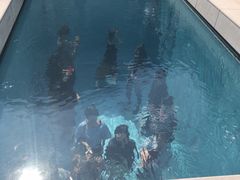 -金泽21世纪美术馆