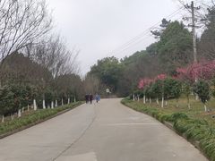 -汤山公园