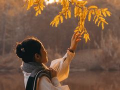 -黄海国家森林公园