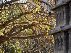 -北京石刻艺术博物馆(五塔寺)