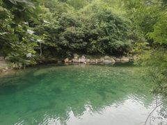 -石台牯牛降景区