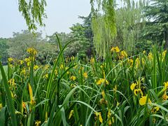 -木塔寺遗址生态公园