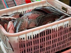 -胖子鱼·天水麻辣鱼火锅(秦州407店)