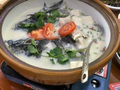 -全乐鱼馆·淳牌有机鱼直营店