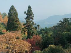 -莫干山风景区