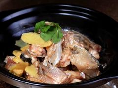 -新天明砂锅鱼头煲