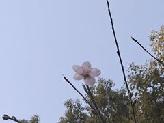 -上海市龙华烈士陵园