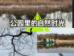 -西湖风景区-江洋畈生态公园