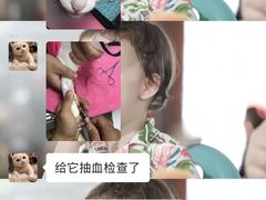 -创凡宠物医院·骨专科  猫科中心(西乡分院)