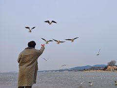 -老虎石海上公园