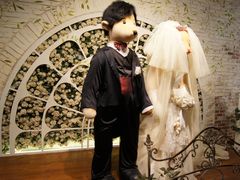 -济州岛泰迪熊博物馆