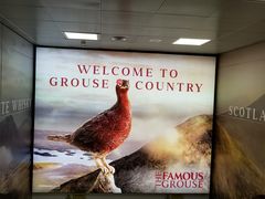 -格拉斯哥国际机场