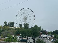-特克斯八卦城