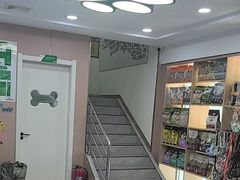 -天使宠物医院·犬猫分诊(彩虹店)