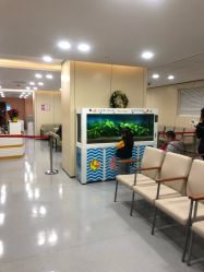 -上海交通大学医学院附属上海儿童医学中心(陆家嘴总院区)